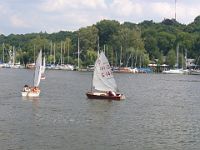 2008 Optiregatta 029